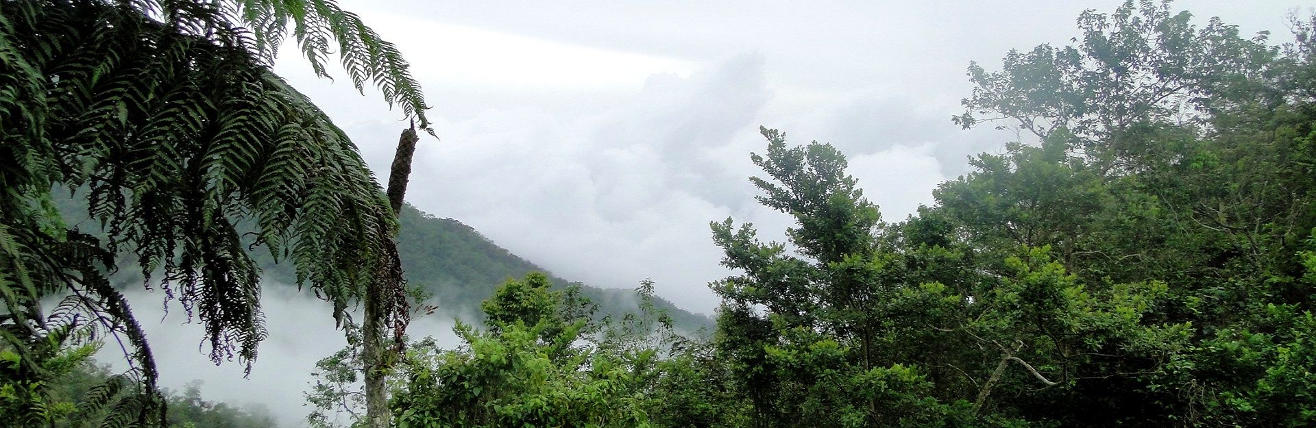 Météo à Pico Turquino, Granma, Cuba Travel